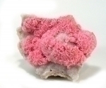 Rhodochrosite and Quartz from Cavnic, Muramures, Romania [544]